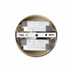 Подвесная люстра Lumion Parker 6564/60L в Набережных Челнах - naberezhnye-chelny.mebel24.online | фото 6