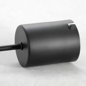 Подвесная люстра Lussole Duncan GRLSP-8252 в Набережных Челнах - naberezhnye-chelny.mebel24.online | фото 4
