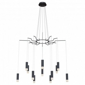 Подвесная люстра Maytoni Davida MOD035PL-12B в Набережных Челнах - naberezhnye-chelny.mebel24.online | фото 2