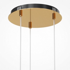 Подвесная люстра Maytoni Drop MOD273PL-L33G3K в Набережных Челнах - naberezhnye-chelny.mebel24.online | фото 6