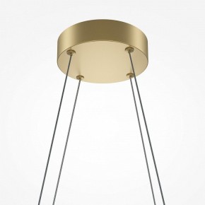 Подвесная люстра Maytoni Halo MOD244PL-L50BSK в Набережных Челнах - naberezhnye-chelny.mebel24.online | фото 4