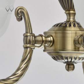Подвесная люстра MW-Light Ариадна 20 450016305 в Набережных Челнах - naberezhnye-chelny.mebel24.online | фото 10