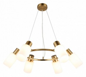 Подвесная люстра Omnilux Ales OML-69103-06 в Набережных Челнах - naberezhnye-chelny.mebel24.online | фото 2