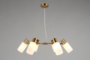 Подвесная люстра Omnilux Ales OML-69103-06 в Набережных Челнах - naberezhnye-chelny.mebel24.online | фото 4