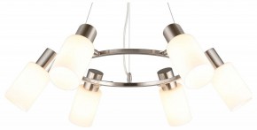 Подвесная люстра Omnilux Ales OML-69113-06 в Набережных Челнах - naberezhnye-chelny.mebel24.online | фото 2