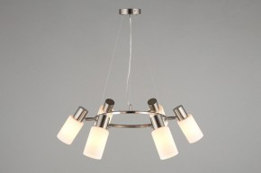 Подвесная люстра Omnilux Ales OML-69113-06 в Набережных Челнах - naberezhnye-chelny.mebel24.online | фото 6