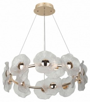 Подвесная люстра Rivoli Shannon Б0061947 в Набережных Челнах - naberezhnye-chelny.mebel24.online | фото 4