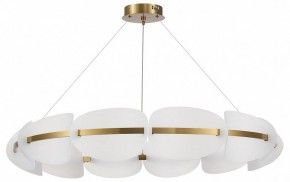 Подвесная люстра ST-Luce Etoile SL1304.203.65 в Набережных Челнах - naberezhnye-chelny.mebel24.online | фото 3