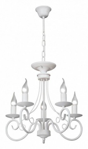 Подвесная люстра Vitaluce V3814 V3814-0/5 в Набережных Челнах - naberezhnye-chelny.mebel24.online | фото 2
