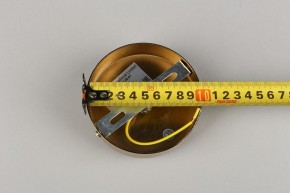 Подвесной светильник Aployt Lora APL.728.06.01 в Набережных Челнах - naberezhnye-chelny.mebel24.online | фото 8