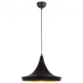 Подвесной светильник Arte Lamp Capello A3406SP-1BK в Набережных Челнах - naberezhnye-chelny.mebel24.online | фото 2
