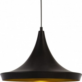 Подвесной светильник Arte Lamp Capello A3406SP-1BK в Набережных Челнах - naberezhnye-chelny.mebel24.online | фото 3