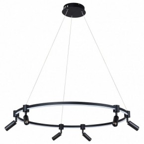 Подвесной светильник Arte Lamp Ring A2186SP-1BK в Набережных Челнах - naberezhnye-chelny.mebel24.online | фото 2