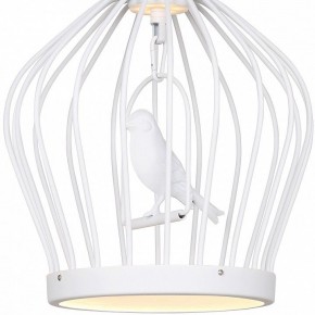 Подвесной светильник Favourite Chick 1931-2P в Набережных Челнах - naberezhnye-chelny.mebel24.online | фото 3