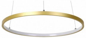 Подвесной светильник Favourite Giro 2937-4P в Набережных Челнах - naberezhnye-chelny.mebel24.online | фото 2