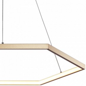 Подвесной светильник Favourite Hexagon 2103-6P в Набережных Челнах - naberezhnye-chelny.mebel24.online | фото 3