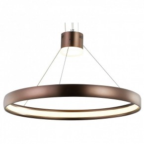 Подвесной светильник Favourite Saturn 2102-2P в Набережных Челнах - naberezhnye-chelny.mebel24.online | фото 1