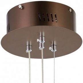 Подвесной светильник Favourite Saturn 2102-2P в Набережных Челнах - naberezhnye-chelny.mebel24.online | фото 5