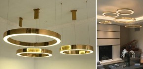 Подвесной светильник Imperiumloft Light Ring Horizontal 40.1454-60 в Набережных Челнах - naberezhnye-chelny.mebel24.online | фото 2