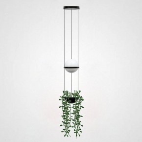 Подвесной светильник Imperiumloft Palma Wall Lamp 22.93727 в Набережных Челнах - naberezhnye-chelny.mebel24.online | фото