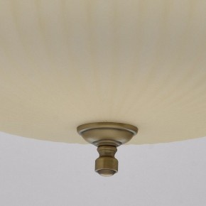 Подвесной светильник MW-Light Афродита 1 317010504 в Набережных Челнах - naberezhnye-chelny.mebel24.online | фото 9