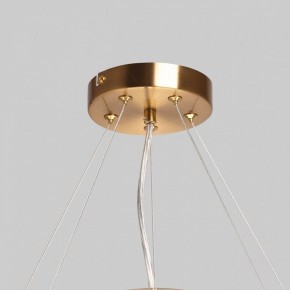 Подвесной светильник MW-Light Илоника 10 451013006 в Набережных Челнах - naberezhnye-chelny.mebel24.online | фото 10