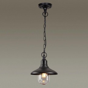 Подвесной светильник Odeon Light Campa 4965/1 в Набережных Челнах - naberezhnye-chelny.mebel24.online | фото 2