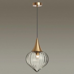 Подвесной светильник Odeon Light Kesta 4950/1 в Набережных Челнах - naberezhnye-chelny.mebel24.online | фото 2
