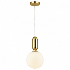 Подвесной светильник Odeon Light Okia 4669/1 в Набережных Челнах - naberezhnye-chelny.mebel24.online | фото 2