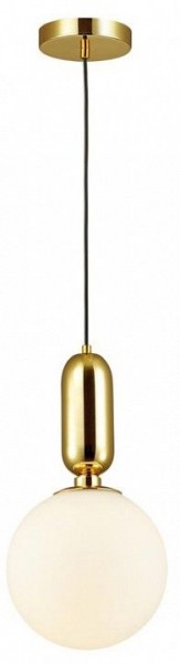 Подвесной светильник Odeon Light Okia 4669/1 в Набережных Челнах - naberezhnye-chelny.mebel24.online | фото 3