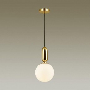 Подвесной светильник Odeon Light Okia 4669/1 в Набережных Челнах - naberezhnye-chelny.mebel24.online | фото 4