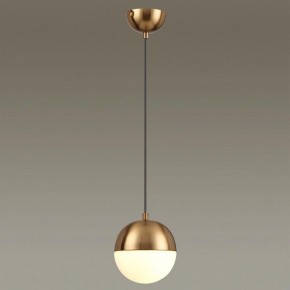 Подвесной светильник Odeon Light Pinga 4960/1 в Набережных Челнах - naberezhnye-chelny.mebel24.online | фото 2