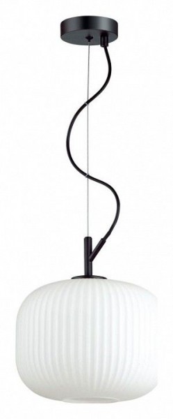 Подвесной светильник Odeon Light Roofi 4753/1 в Набережных Челнах - naberezhnye-chelny.mebel24.online | фото 2
