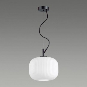 Подвесной светильник Odeon Light Roofi 4753/1 в Набережных Челнах - naberezhnye-chelny.mebel24.online | фото 4