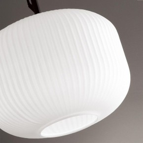 Подвесной светильник Odeon Light Roofi 4753/1 в Набережных Челнах - naberezhnye-chelny.mebel24.online | фото 7