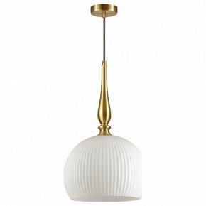 Подвесной светильник Odeon Light Runga 4765/1 в Набережных Челнах - naberezhnye-chelny.mebel24.online | фото 2