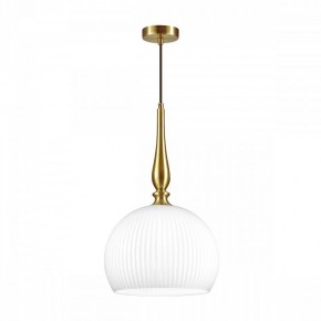 Подвесной светильник Odeon Light Runga 4765/1 в Набережных Челнах - naberezhnye-chelny.mebel24.online | фото 3