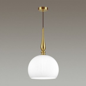 Подвесной светильник Odeon Light Runga 4765/1 в Набережных Челнах - naberezhnye-chelny.mebel24.online | фото 4