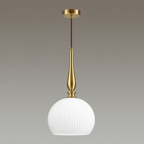 Подвесной светильник Odeon Light Runga 4766/1 в Набережных Челнах - naberezhnye-chelny.mebel24.online | фото 4