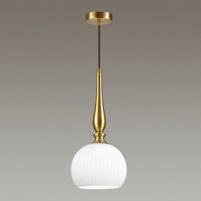 Подвесной светильник Odeon Light Runga 4767/1 в Набережных Челнах - naberezhnye-chelny.mebel24.online | фото 4