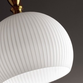 Подвесной светильник Odeon Light Runga 4767/1 в Набережных Челнах - naberezhnye-chelny.mebel24.online | фото 8