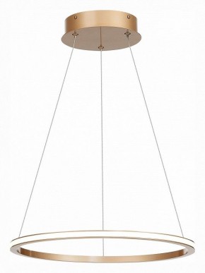 Подвесной светильник ST-Luce ST604 OUT ST604.243.22 в Набережных Челнах - naberezhnye-chelny.mebel24.online | фото 3