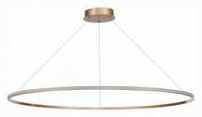Подвесной светильник ST-Luce ST604 OUT ST604.243.57 в Набережных Челнах - naberezhnye-chelny.mebel24.online | фото 2