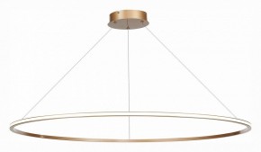 Подвесной светильник ST-Luce ST604 OUT ST604.243.57 в Набережных Челнах - naberezhnye-chelny.mebel24.online | фото 3