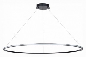 Подвесной светильник ST-Luce ST604 OUT ST604.443.46 в Набережных Челнах - naberezhnye-chelny.mebel24.online | фото 2