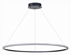 Подвесной светильник ST-Luce ST604 OUT ST604.443.57 в Набережных Челнах - naberezhnye-chelny.mebel24.online | фото 2