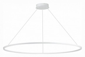 Подвесной светильник ST-Luce ST604 OUT ST604.543.46 в Набережных Челнах - naberezhnye-chelny.mebel24.online | фото 2