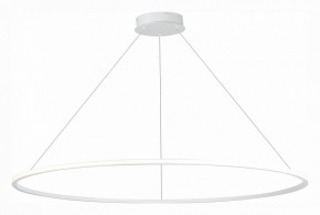 Подвесной светильник ST-Luce ST604 OUT ST604.543.46 в Набережных Челнах - naberezhnye-chelny.mebel24.online | фото 3