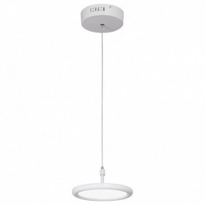 Подвесной светильник Vitaluce V4604 V4604-0/1S в Набережных Челнах - naberezhnye-chelny.mebel24.online | фото 2