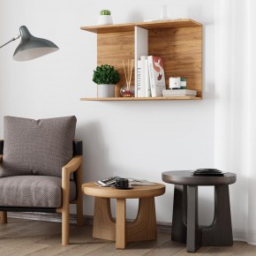 Полка Ион-3 (крафт/белый) в Набережных Челнах - naberezhnye-chelny.mebel24.online | фото 3